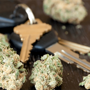 A Sober Reminder for Safe Driving This Holiday Season