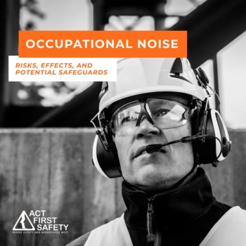 Occupational Noise: Risks, Effects, and Potential Safeguards  
