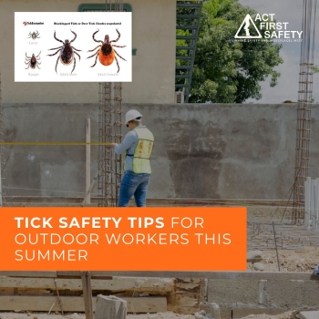 Tick Safety Tips for Outdoor Workers This Summer 